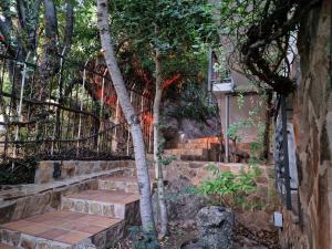 A garden outside Aptos El Manantial Burunchel