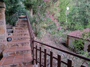 A garden outside Aptos El Manantial Burunchel