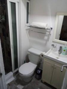 y baño con aseo y lavamanos. en LISBOA Hermoso departamento para 6 personas en cdmx, en Ciudad de México