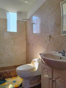 ein Bad mit einem WC und einem Waschbecken in der Unterkunft Valentina House in Tacna