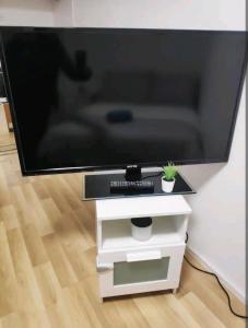 a flat screen tv on a tv stand with a plant at ¶Pet Friendly Cosy Quite Room+TV+Sofa in Glenfield