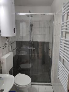 a bathroom with a shower with a toilet and a sink at Apartments by the sea Baska Voda, Makarska - 12209 in Baška Voda
