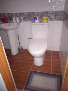 ein Bad mit einem WC und einem Waschbecken in der Unterkunft Sarah's Garden BnB & Spa in Clarin