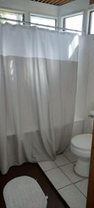 y baño con aseo y cortina de ducha. en Aldea Bahiguana, en Bahía Inglesa