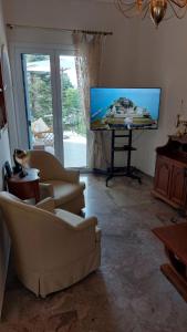 a living room with two couches and a flat screen tv at Semiramis Apartment in Potamós