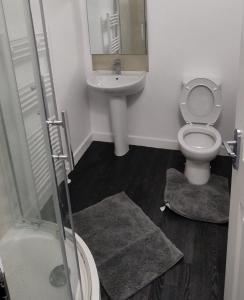a bathroom with a toilet and a sink and a shower at Leicester Street in Burton upon Trent