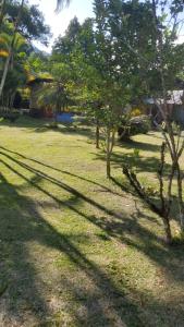 grupa drzew na trawiastym polu w obiekcie Cabañas San Diego w mieście Macas