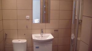 グダニスクにあるApartament Kozia Iのバスルーム(洗面台、トイレ、鏡付)