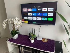 TV a/nebo společenská místnost v ubytování Has Hills Residence - 2 BEDROOMS CONDO with WiFi