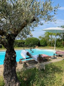 a tree with a hammock next to a swimming pool at Domaine de la Serve in Lancié +24 photos