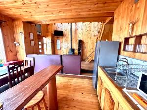 Kuchyň nebo kuchyňský kout v ubytování CABAÑA 325 centro de QUELLON