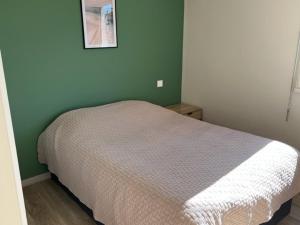 ein Bett in einem Schlafzimmer mit einer grünen Wand in der Unterkunft Appartement Cap d'Agde, 3 pièces, 4 personnes - FR-1-749-11 in Cap d'Agde
