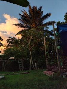 un palmier dans une cour à côté d'une maison dans l'établissement Nomada Hostel, à Leticia