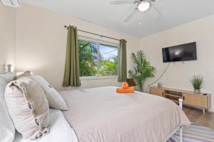 um quarto com uma cama, uma televisão e uma janela em Enchanting cozy Apartment 10 min away from airport, Calle 8, Brickell, Coral Gables, the beach and more! em Miami