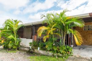 a group of palm trees in front of a building at Cabina Arenal Z13 in Fortuna