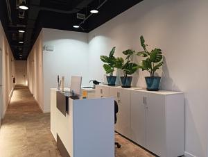 an office with potted plants on top of white cabinets at M Pods Malaga in Málaga