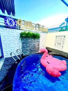 木州的住宿－Chelsea Villa Moc Chau Venuestay，水中带粉红色火烈鸟的游泳池