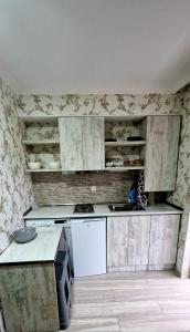 博爾若米的住宿－Borjomi Home，一间带炉灶和冰箱的旧厨房