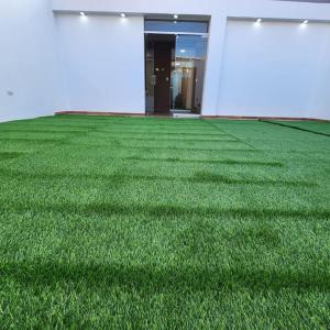 a green field of grass in front of a building at La casa de Teo in Ica