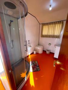 a small bathroom with a shower and a toilet at Vip Flotante in Puno