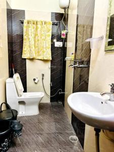 a bathroom with a toilet and a sink at *Serene* A Luxurious Stay in Jodhpur