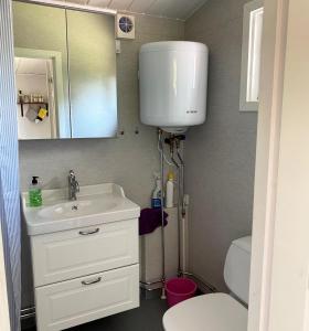 a bathroom with a sink and a toilet and a mirror at Nice and family friendly holiday home in Trensum Karlshamn in Trensum