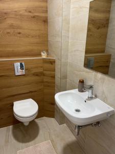 ein Badezimmer mit einem weißen Waschbecken und einer Toilette in der Unterkunft Plava Zvezda Centar Free Garage in Novi Sad + 17 Fotos