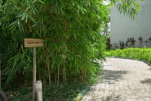 Gir Serai - IHCL SeleQtions室外花園