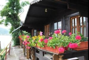Ein paar Blumen in einem Blumenkasten vor einem Haus. in der Unterkunft Bungalow- casute in Orşova