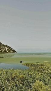 Gallery image of Apartment Lake Oasis ''Oko'' in Krnjice