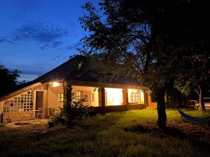 a house with a tree in the yard at night at Chez Sári in Sarud