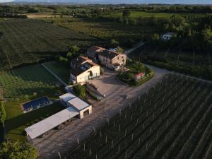 una vista aérea de una casa en un viñedo en CA`NOVA AGRITURISMO, en Castellaro