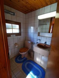 a bathroom with a toilet and a sink at I de Mattu IDM1 in Blatten bei Naters