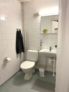 a bathroom with a toilet and a sink at Pearl of Helokka in Jyväskylä