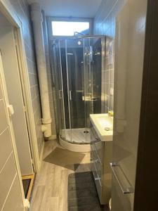 La salle de bains est pourvue d'une douche, de toilettes et d'un lavabo. dans l'établissement Maison de location saisonnière en Périgord Vert, à Saint-Front-la-Rivière