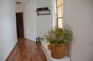 Fotografie z fotogalerie ubytování Apartmán U Pepana v Kyjově