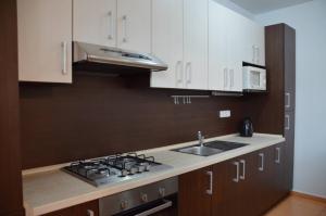 Kuchyň nebo kuchyňský kout v ubytování Apartmán U Pepana
