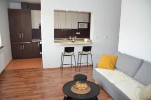 基約夫的住宿－Apartmán U Pepana，带沙发的客厅和厨房