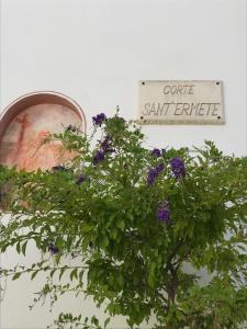 een bord met code San Francisco en een plant met paarse bloemen bij La Corte Bianca in Matino