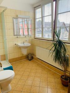 a bathroom with a sink and a toilet and a plant at Penzion G in Šumperk
