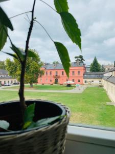 a plant in a window with a view of a building at Penzion G in Šumperk