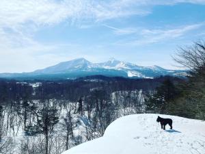 a black dog standing on top of a snow covered mountain at Urabandai Cranes in Kitashiobara +53 photos