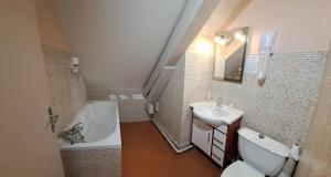 a bathroom with a sink and a toilet and a tub at Alti'Pic Hôtel in Le Mont-Dore