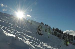 Gallery image of Haus Schönherr in Gaschurn +4 photos