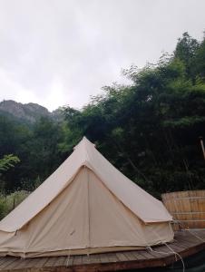 a large white tent in front of some trees at Tiny House Village Resort 