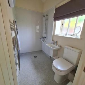 a small bathroom with a toilet and a sink at Kings Head in North Lopham