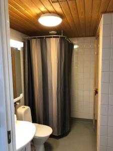 ein Bad mit einer Dusche, einem WC und einem Waschbecken in der Unterkunft Kotimaailma - Kaksio saunalla Herttoniemessä in Helsinki