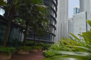 uma fileira de palmeiras numa cidade com edifícios altos em KLCC Skysuites with Private Balcony and Terrace em Kuala Lumpur