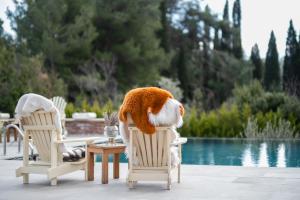 a stuffed animal is sitting in chairs by a pool at Nadas Kazdağları in Çanakkale