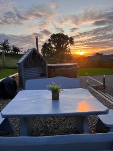 a blue picnic table with a potted plant on it at Kingarrow Cottage in Omagh
